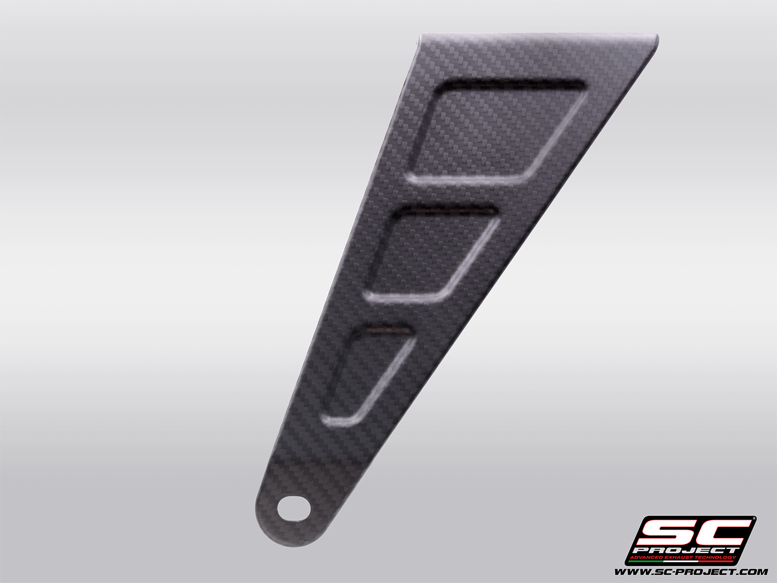 APRILIA RS 660 (2025) Carbon fibre bracket, compatible with 2-1 titanium full systems (check compatibility in the description)