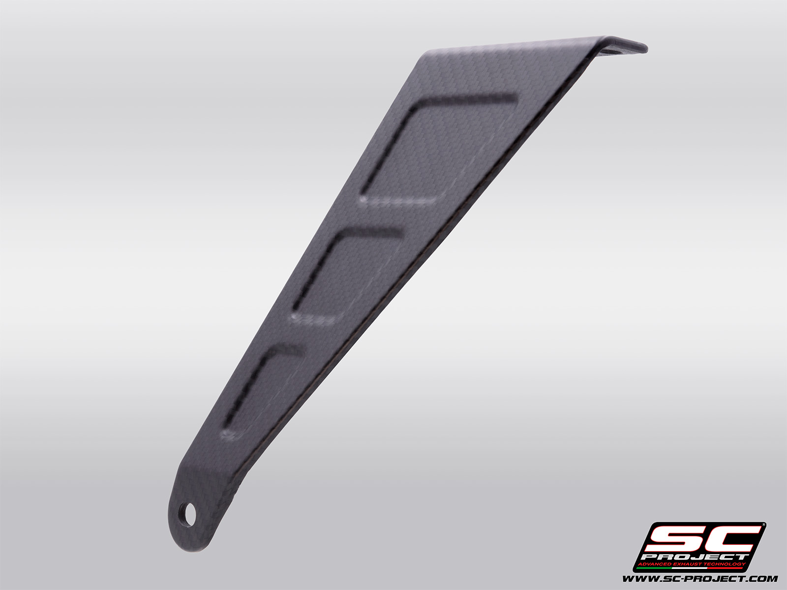 APRILIA TUONO 660 (2025) Carbon fibre bracket, compatible with 2-1 titanium full systems (check compatibility in the description)